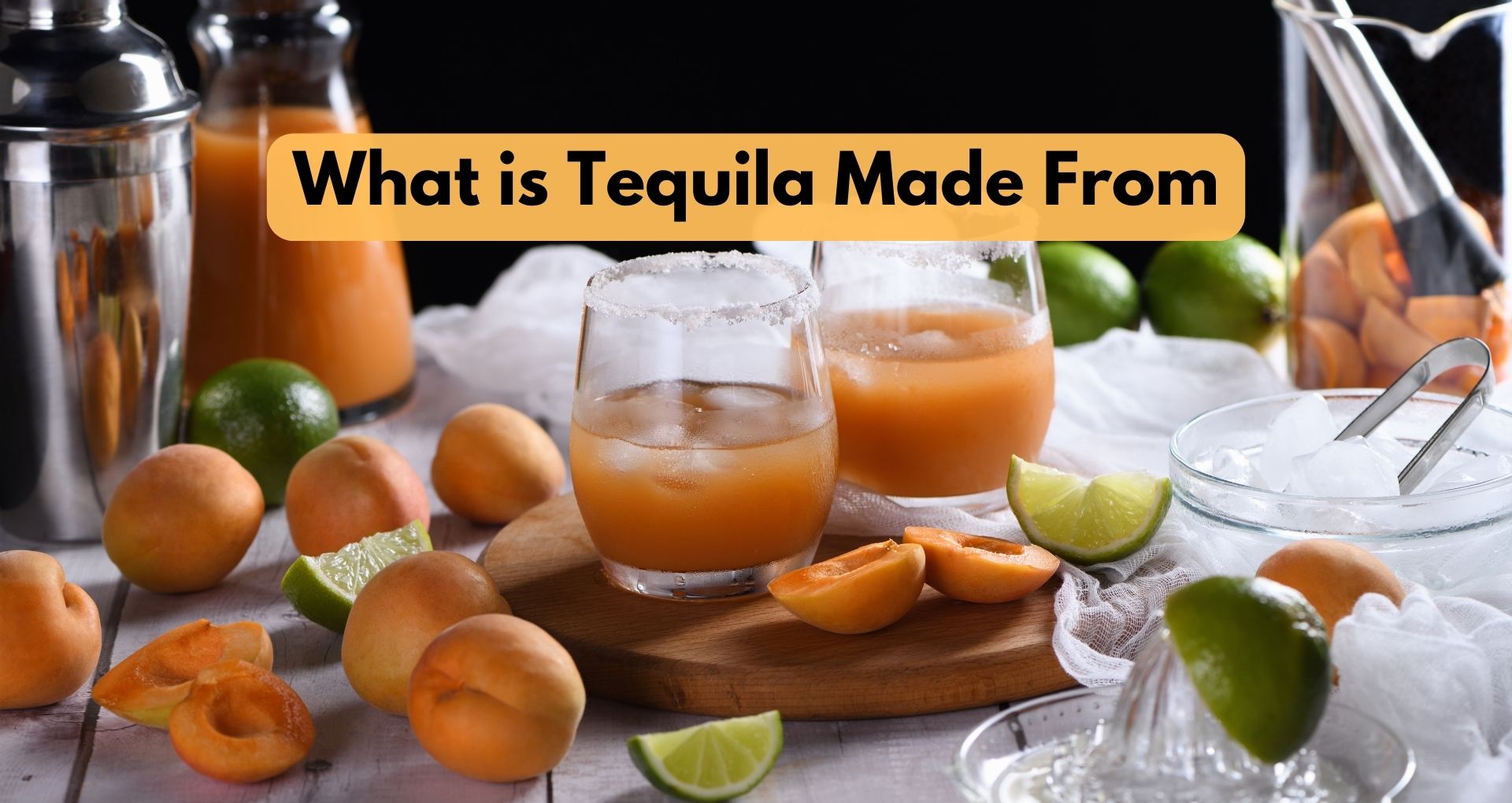 What is Tequila Made From?